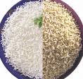 White Rice vs. Brown Rice