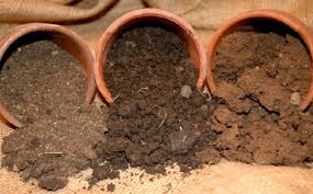 Types of Soils - Which One is Good for Potted Plants? - Hyderabad India Online
