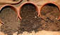 Types of Soils - Which One is Good for Potted Plants? - Hyderabad India Online