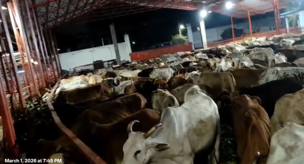 Shri Sadguru Samarth Narayana Ashram in Jiyaguda Hyderabad - Hyderabad India Online